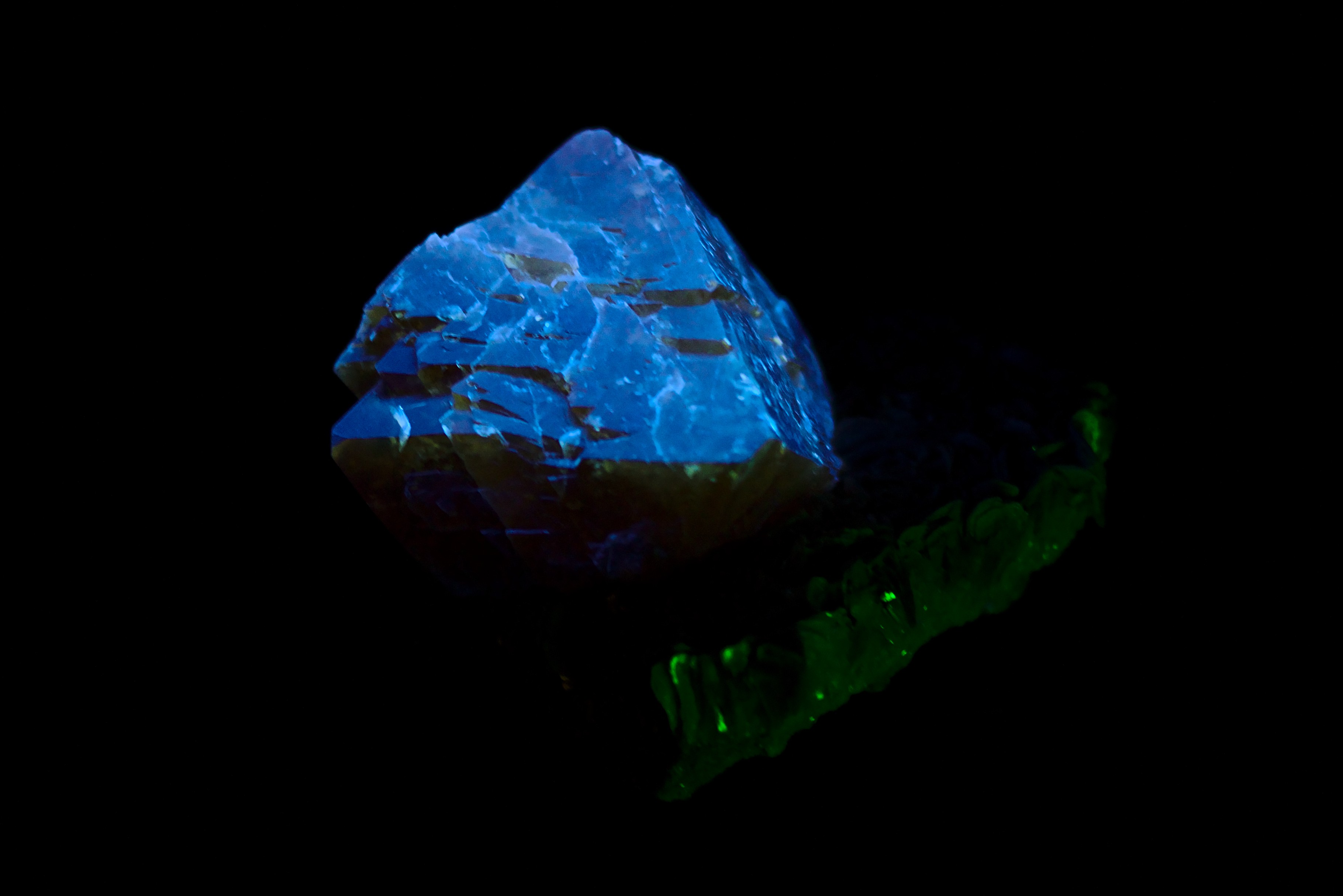 白钨矿紫外短波荧光（Hillman Hall of Minerals 馆藏）