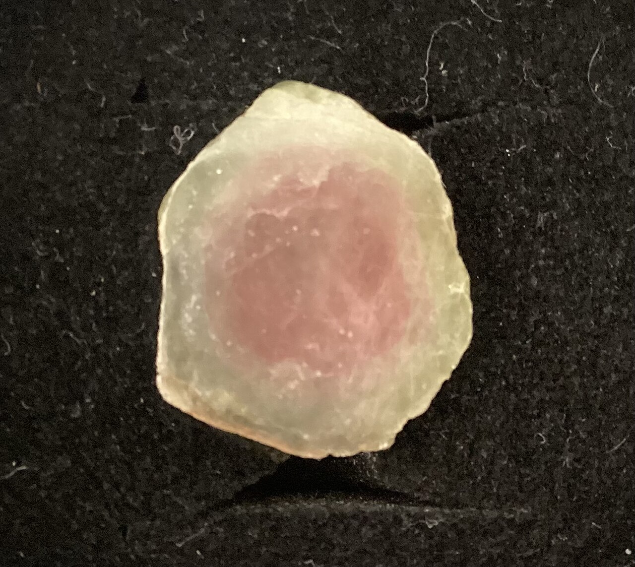 西瓜碧玺：顶部抛光可见粉绿分区
