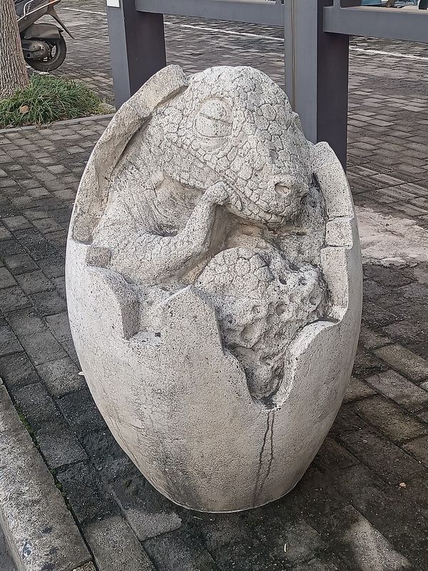 恐龙蛋化石