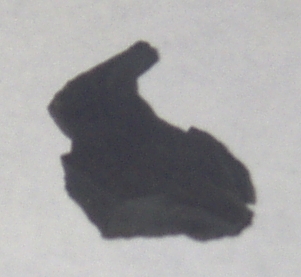 煤精原料（褐煤系致密变体）