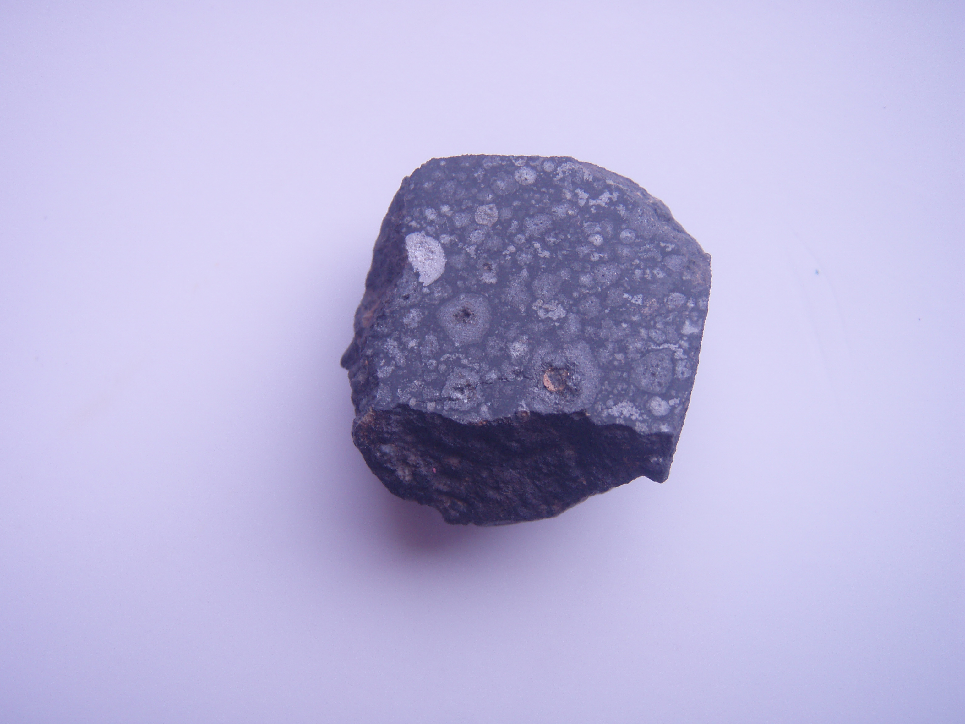 Allende 碳质球粒陨石切片（含 CAI）