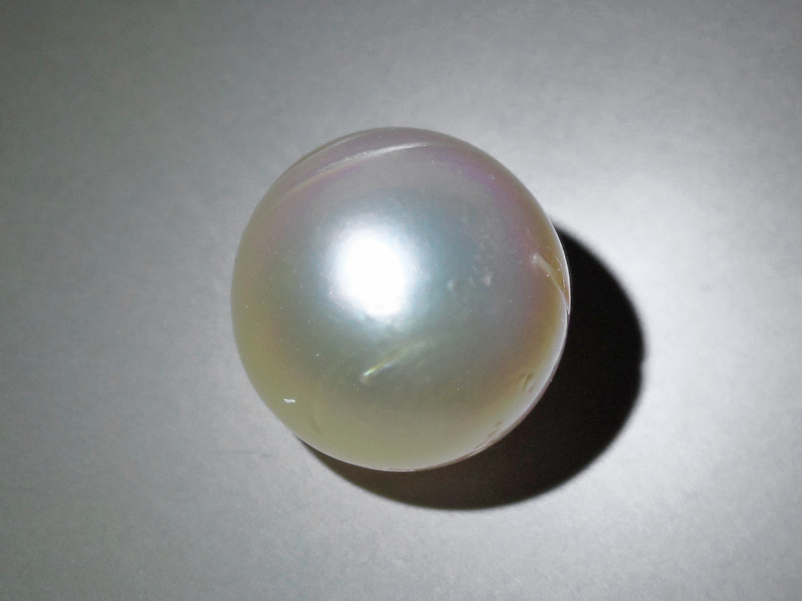 南洋金珠（Pinctada maxima 金唇贝产）